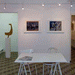 expositie 2015